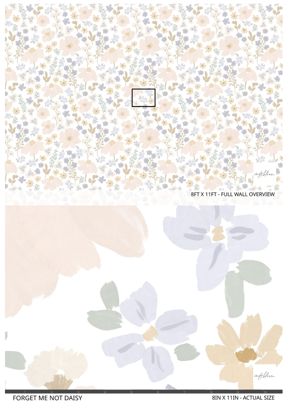 Forget me not Daisy