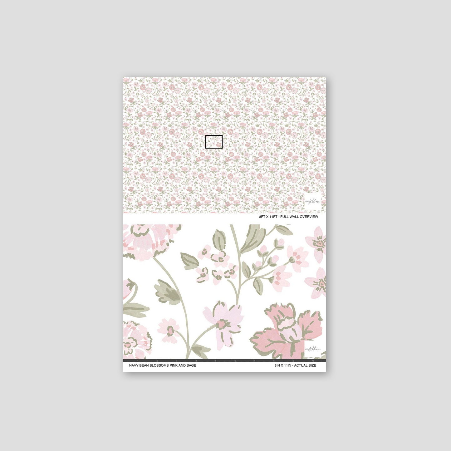 Navy bean blossoms pink and sage